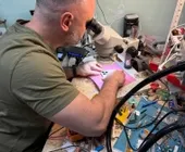 Сервисный центр GADGET Store&Service фото 4